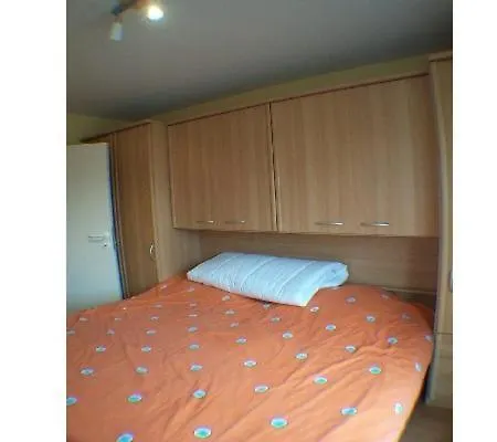 Calidris Ref 48 Koksijde