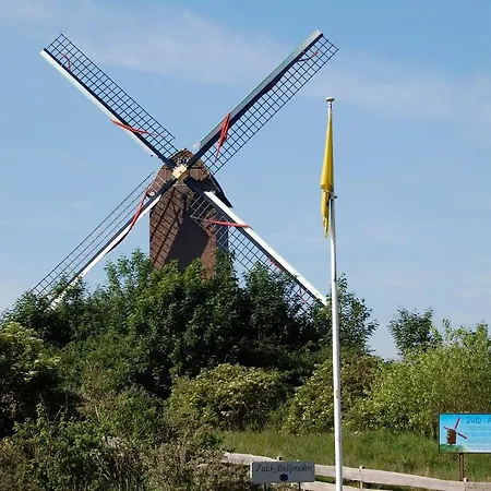 Calidris Ref 48 Koksijde