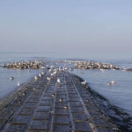Calidris Ref 48 Lägenhet Koksijde